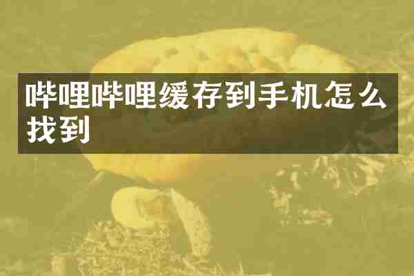 哔哩哔哩缓存到手机怎么找到