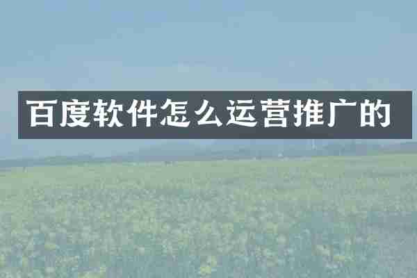 百度软件怎么运营推广的
