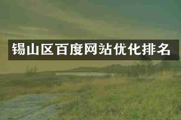 锡山区百度网站优化排名