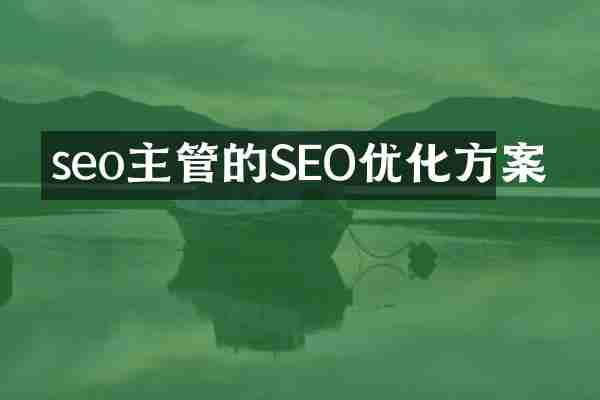 seo主管的SEO优化方案