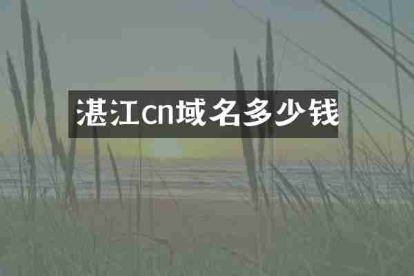湛江cn域名多少钱