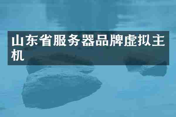 山东省服务器品牌虚拟主机