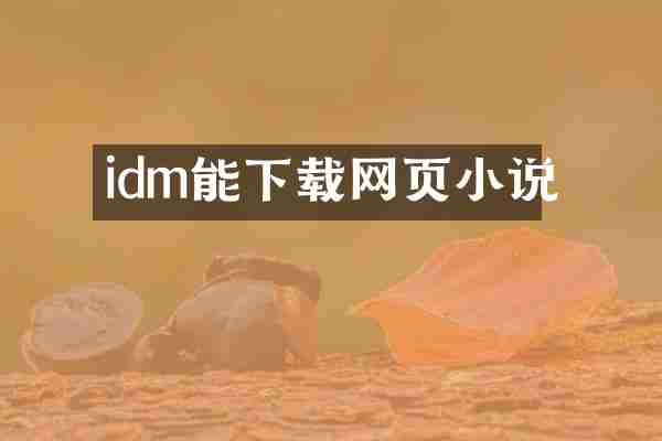 idm能下载网页小说