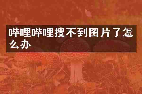 哔哩哔哩搜不到图片了怎么办