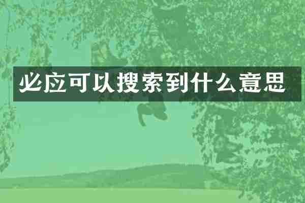 必应可以搜索到什么意思