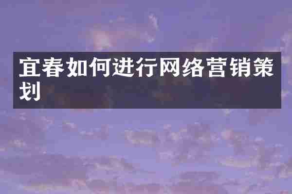 宜春如何进行网络营销策划