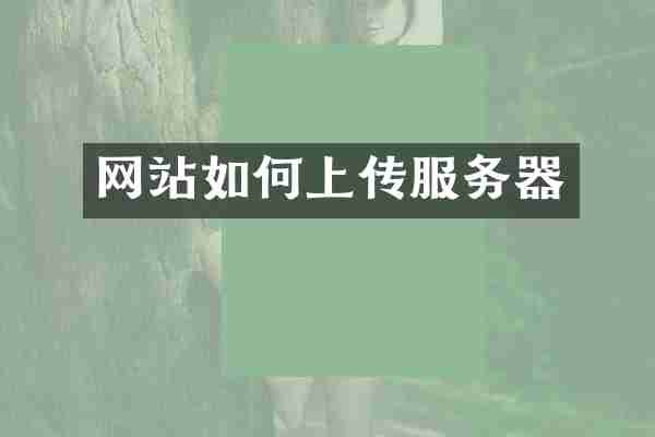 网站如何上传服务器