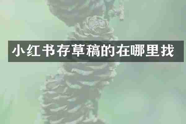小红书存草稿的在哪里找