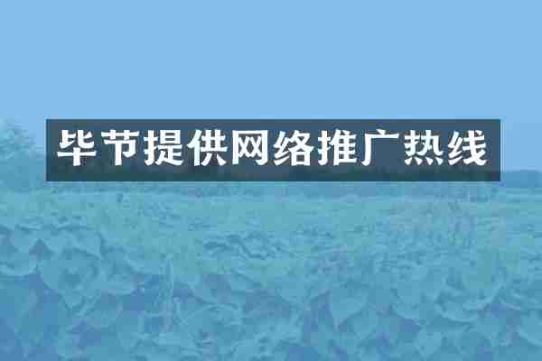 毕节提供网络推广热线