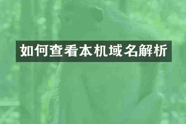 如何查看本机域名解析