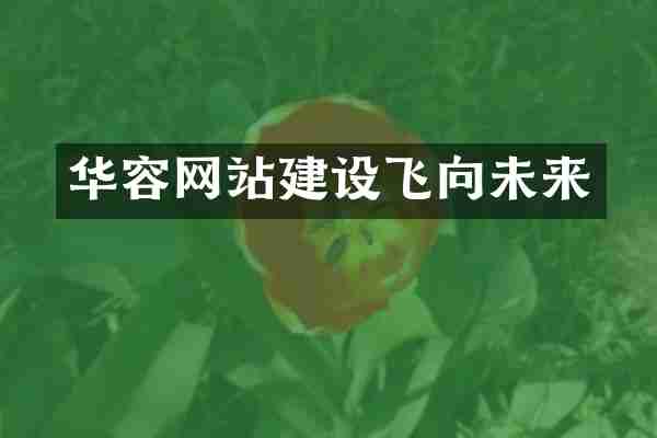 华容网站建设飞向未来