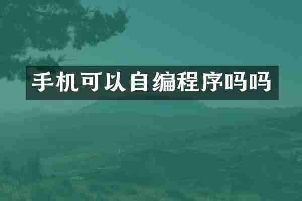手机可以自编程序吗吗