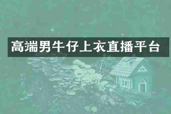 高端男牛仔上衣直播平台