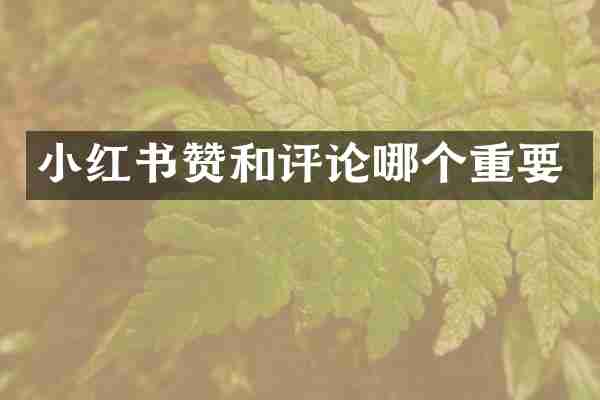 小红书赞和评论哪个重要
