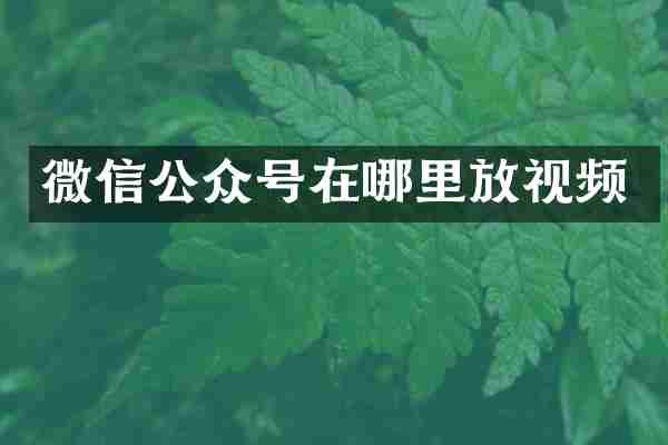 微信公众号在哪里放视频