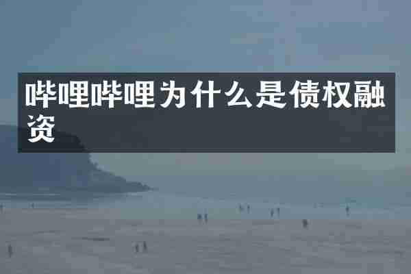 哔哩哔哩为什么是债权融资