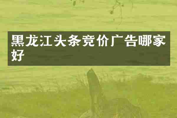 黑龙江头条竞价广告哪家好
