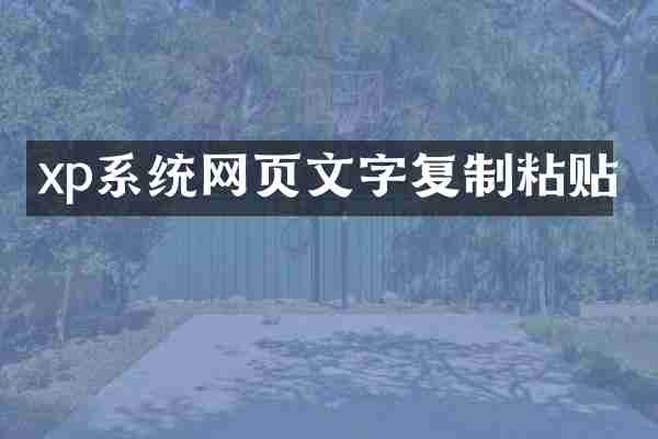 xp系统网页文字复制粘贴