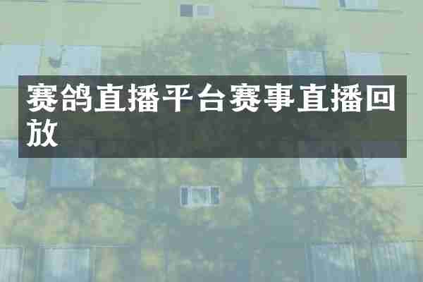 赛鸽直播平台赛事直播回放