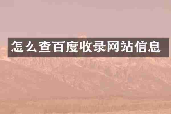 怎么查百度收录网站信息