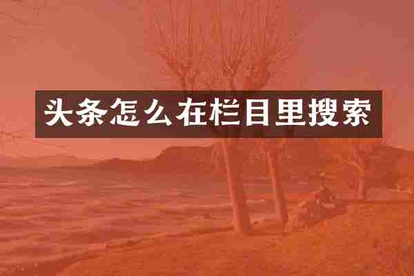 头条怎么在栏目里搜索
