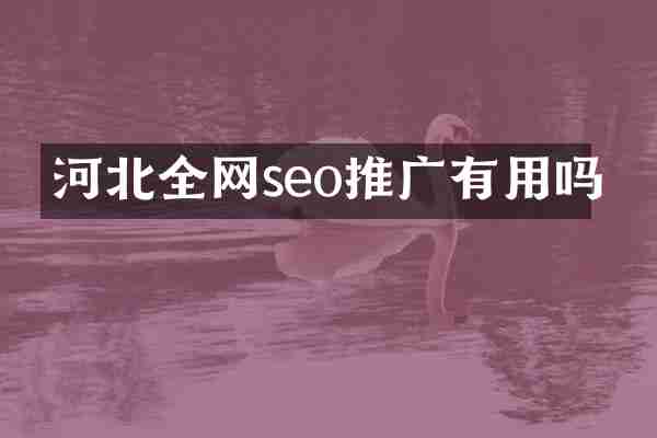 河北全网seo推广有用吗