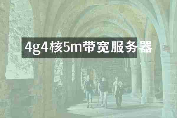 4g4核5m带宽服务器