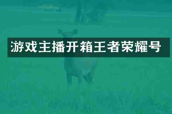 游戏主播开箱王者荣耀号