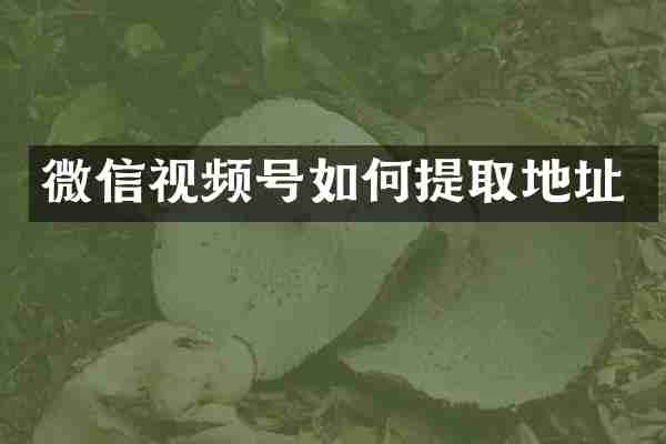 微信视频号如何提取地址