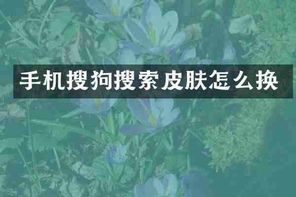 手机搜狗搜索皮肤怎么换