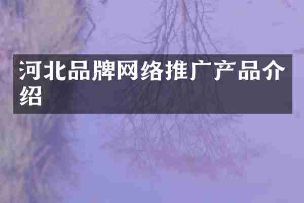 河北品牌网络推广产品介绍