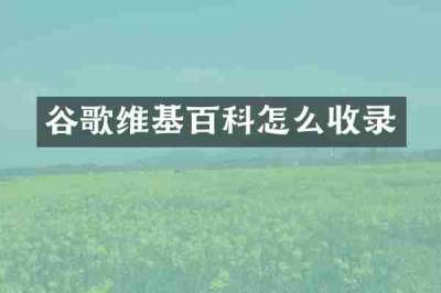 谷歌维基百科怎么收录