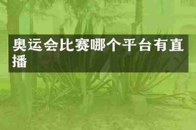 奥运会比赛哪个平台有直播