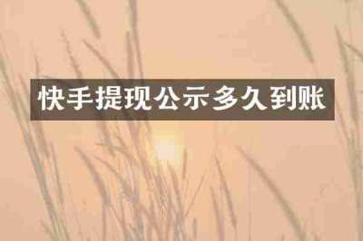 快手提现公示多久到账