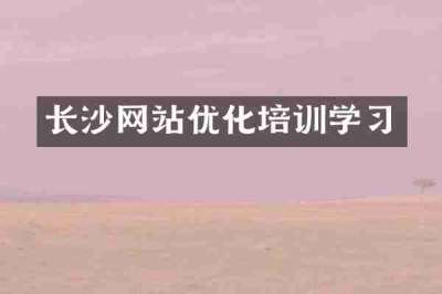 长沙网站优化培训学习