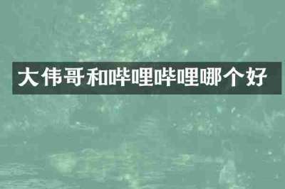 大伟哥和哔哩哔哩哪个好