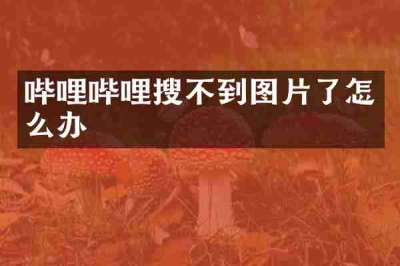 哔哩哔哩搜不到图片了怎么办
