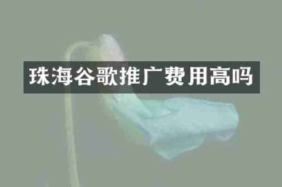 珠海谷歌推广费用高吗