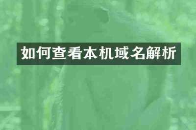 如何查看本机域名解析
