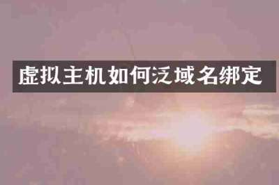 虚拟主机如何泛域名绑定