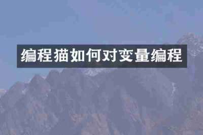 编程猫如何对变量编程