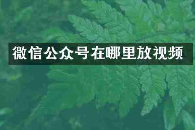 微信公众号在哪里放视频