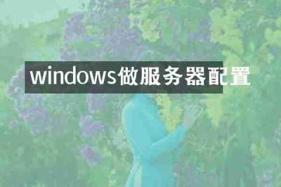 windows做服务器配置