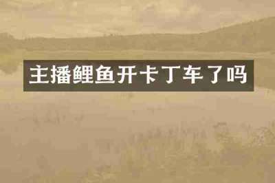 主播鲤鱼开卡丁车了吗