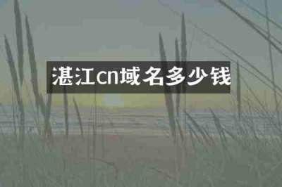 湛江cn域名多少钱