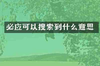 必应可以搜索到什么意思