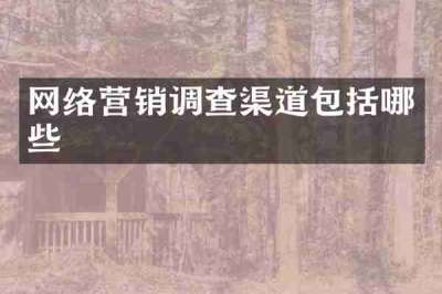 网络营销调查渠道包括哪些