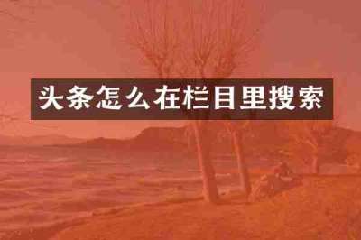 头条怎么在栏目里搜索