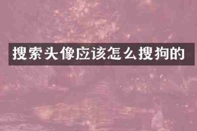 搜索头像应该怎么搜狗的