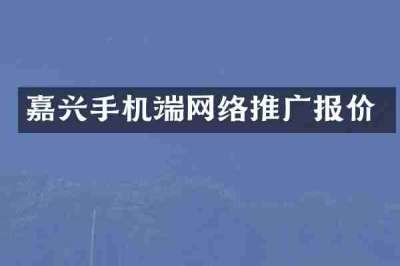 嘉兴手机端网络推广报价